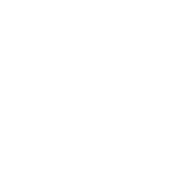 kps-icon
